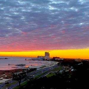 Meet your Posher, CJ